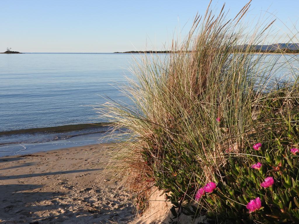 Отель Moomba Holiday And Caravan Park Порт-Сорелл Экстерьер фото